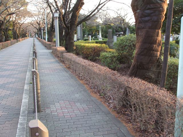 Aoyama cemetery, Foreign section, before construction